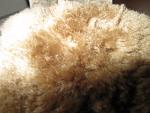     
: IMG_2897.jpg
: 9
:	109.8 
ID:	2945723