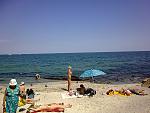     
: 0276.jpg
: 96
:	259.3 
ID:	2951235