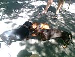     
: Фото0090.jpg
: 41
:	98.6 
ID:	2951251