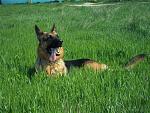     
: 100_0222_новый размер.jpg
: 20
:	281.5 
ID:	2954298