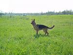     
: 100_0210_новый размер.jpg
: 23
:	264.8 
ID:	2954299