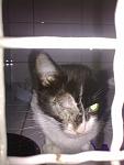     
: 06082011713.jpg
: 55
:	65.1 
ID:	2957254