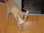     
: IMG_1349.jpg
: 26
:	30.1 
ID:	2959199