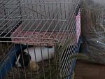     
: DSC00010.JPG
: 50
:	145.2 
ID:	2959520