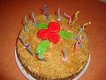     
: DSC04194.jpg
: 23
:	146.5 
ID:	2960266