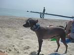     
: IMG_5800.jpg
: 41
:	134.3 
ID:	2961087