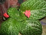     
: DSCF1717.JPG
: 14
:	118.4 
ID:	2962658
