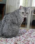     
: IMG_7454.jpg
: 19
:	223.2 
ID:	2963045