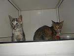     
: 1f739e463fe7.jpg
: 87
:	19.3 
ID:	2969915