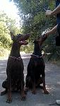     
: IMAG0128-1-1.jpg
: 41
:	135.9 
ID:	2972578