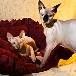     
: IMG_4164.jpg
: 50
:	246.3 
ID:	2974457