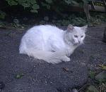     
: IMAG0283.jpg
: 61
:	151.9 
ID:	2979702