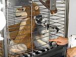     
: DSC00574_m.jpg
: 61
:	169.9 
ID:	2981905
