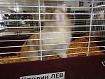     
: DSC00601_m.jpg
: 61
:	139.9 
ID:	2981906
