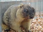     
: DSC00642_m.jpg
: 53
:	146.5 
ID:	2981907