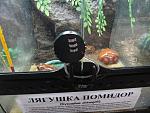     
: DSC00633_m.jpg
: 60
:	155.4 
ID:	2981908