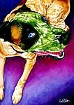     
: oscar-by-sinclair-422x600.jpg
: 28
:	88.2 
ID:	2982374