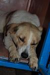     
: DSC_0167.JPG
: 28
:	48.0 
ID:	2984380