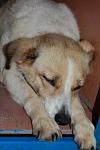     
: DSC_0166.JPG
: 27
:	53.5 
ID:	2984390