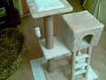     
: 17082011(002).jpg
: 310
:	157.0 
ID:	2989318