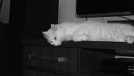     
: DSCF1519.JPG
: 22
:	254.8 
ID:	2989618