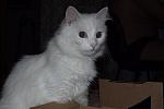     
: DSCF1506.JPG
: 17
:	226.6 
ID:	2989620