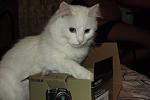     
: DSCF1503.jpg
: 19
:	41.2 
ID:	2989625