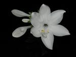     
: IMG_5343.JPG
: 11
:	14.1 
ID:	2989927