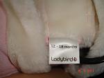     
: DSC09546.jpg
: 44
:	77.5 
ID:	2990256