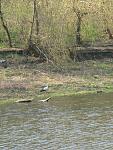    
: IMG_1940.jpg
: 28
:	167.7 
ID:	2997436
