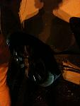     
: IMG_1003.jpg
: 1243
:	71.7 
ID:	2997618