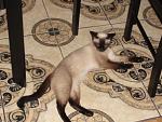     
: DSC04983.JPG
: 50
:	47.4 
ID:	2999629