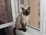     
: DSC04992.JPG
: 50
:	22.2 
ID:	2999630