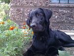     
: Фото015.jpg
: 29
:	199.5 
ID:	2999953