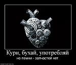     
: 604328_kuri-buhaj-upotreblyaj.jpg
: 10
:	49.4 
ID:	3000513