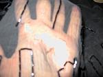     
: IMG_4407.jpg
: 56
:	149.4 
ID:	301043