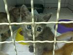     
: 22082011275.jpg
: 38
:	108.4 
ID:	3011053