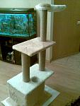     
: 23082011(003).jpg
: 255
:	103.2 
ID:	3011646