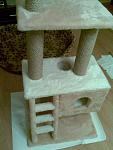     
: 23082011(002).jpg
: 245
:	92.1 
ID:	3011649