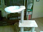     
: 23082011(001).jpg
: 314
:	182.7 
ID:	3011652