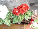     
: DSC06399.jpg
: 20
:	164.8 
ID:	3011881