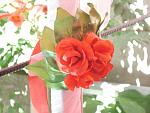     
: DSC06392.jpg
: 22
:	106.9 
ID:	3011901