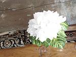     
: DSC06400.jpg
: 18
:	121.7 
ID:	3011960