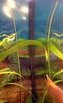     
: Фото-0047.jpg
: 63
:	92.4 
ID:	3014168