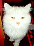     
: x_fbe471bb.jpg
: 11
:	31.3 
ID:	301482