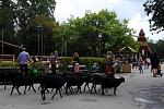     
: DSC_0359.jpg
: 14
:	197.7 
ID:	3020254