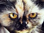     
: x_7c19f939.jpg
: 7
:	77.5 
ID:	3021192