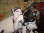     
: P1221446.JPG
: 20
:	260.4 
ID:	3021310