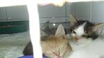     
: SDC14522.jpg
: 35
:	47.9 
ID:	3023052