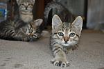     
: DSC_0277.jpg
: 19
:	86.9 
ID:	3023337